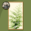 HQ Minimalist Plant Long Painting #4 Sellable Extra D Samtuse963 logo