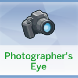 Photographer's Eye Trait | Chinese Translation