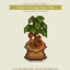 Animal Crossing Cacao Tree