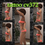 tattoo cv372 left side ( base game compatible ) logo