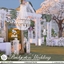 Bridgerton Wedding set (2024)