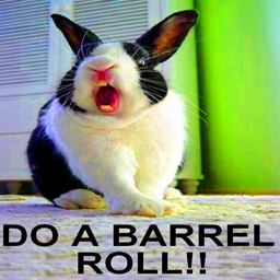 DoABarrelRoll logo