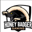 Honeybadgers Gaming logo