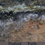 Podzol Path logo