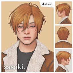 Sasaki Hair logo