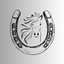 Silver Tempest logo