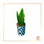 Snake Plant - Light Green - Version 2 logo