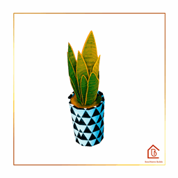 Snake Plant - Faded - Version 2 logo