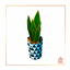 Snake Plant - Dark Green - Version 2 logo