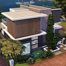 Minimalist Modern 1