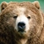 Bearstergaming's Create Survival Series logo