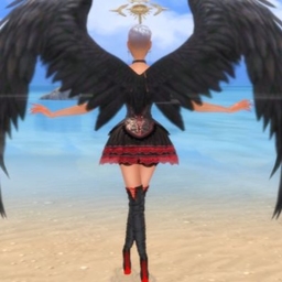 Dark Wing Loading Screen