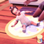 Infant Star Rug logo