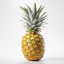 cazrt's pineapple thing logo