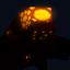Wyrms of Nyrus logo