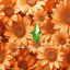 Summer sunflowers loading screen logo