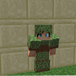 camo-armor pack
