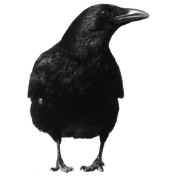 Ravens' Fantasy World logo