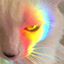 Gay Clan logo