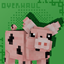 Gray's Animal Overhaul logo