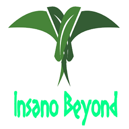 Insano Beyond logo