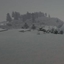 Project Winterfell logo