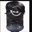 ZIPPING-BOMB_FOR_FEINDS logo