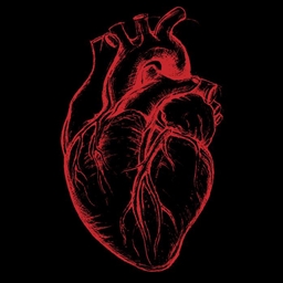 TryNotToDie project image