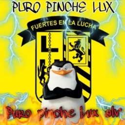 Puro Pinche Lux project image
