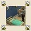 Upgrade Beds No Uncomfortable Wake logo