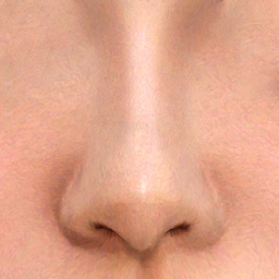 Nose Preset 49 HQ project image