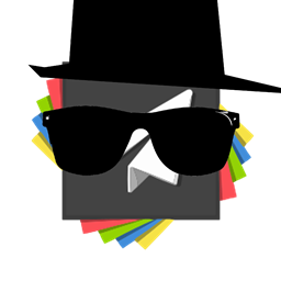 ServerVeil logo