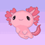 Pastel Plains logo