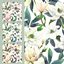 Flora and Fauna Collection/89 logo