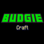 BudgieCraft logo