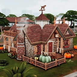 Pumpkin Starter