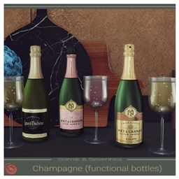 FUNCTIONAL CHAMPAGNE BOTTLES by somik_severinka SPANISH TRANSLATION