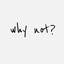 Why not? Just because. logo