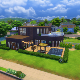 MODERN WOOD HOUSE NO CC project image