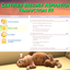 Mod Certified Breeder Aspiration par Ilkavelle - Trad FR logo