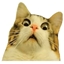 Patate2.0 logo
