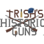 Trish's Historic Guns logo