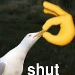 Mostly Silent Chests