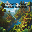 Colonial Craft: Beyond Survival logo
