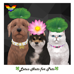 Lotus Hats for Pets
