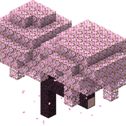 Adventure in Survival