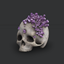 Skull with crystals logo