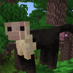Shua And Mateo's Adventure Pack logo