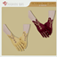 Victorian gloves (short, Victorian set) logo