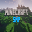 Dlerd SMP logo